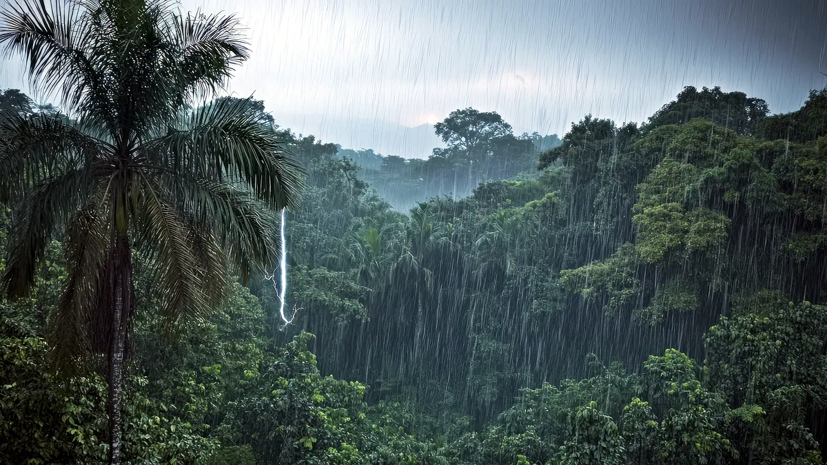 Una luvia torrencial cae sobre la selva de Palenque en plena temporada de lluvias.
